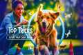 Dog Training Hacks: Easy Tricks to