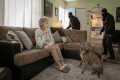 Dogs Tested to See Whether They’d