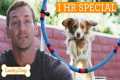 Lucky Dog Marathon | Ultimate