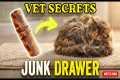 How Vets Groom Their Own Cats
