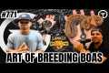 Art Of Breeding Boas | Trap Talk With 