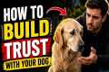 How to Build Trust With Your Dog |