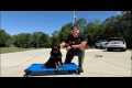 LIVE PUPPY TRAINING & GIVEAWAY!