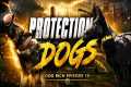 Protection Dog Training Day- Dog Rich 