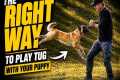 The Right Way to Play TUG with your