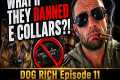 What if they BANNED E Collars?! Dog