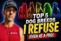 Top 5 Dog Breeds I Refuse to Own