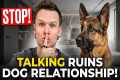 Why Talking To Your Dog RUINS Your