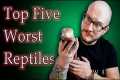 Top 5 BAD PET REPTILES For Kids | Get 