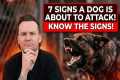7 Signs A Dog Is About To ATTACK!
