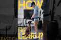 How long does it take to teach a dog