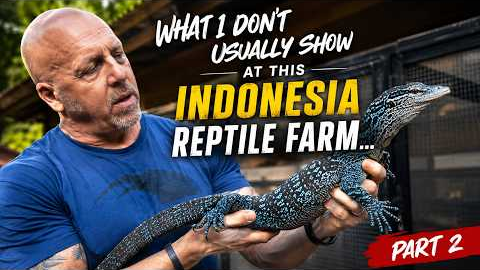 What I Don’t Usually Show at This Indonesia Reptile Farm…