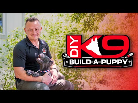 Puppy LIVE Training Sweepstakes!