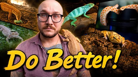 Your Reptile is Bored! 5 EASY Enrichment Ideas!