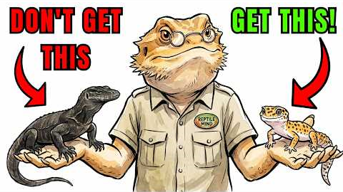 5 Pet Lizards You THINK You Want But Definitely DON'T!
