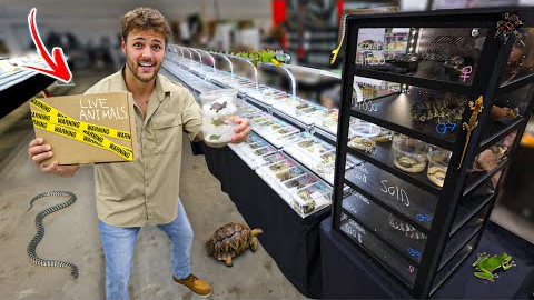 Buying ANIMALS at the LARGEST REPTILE EXPO!!