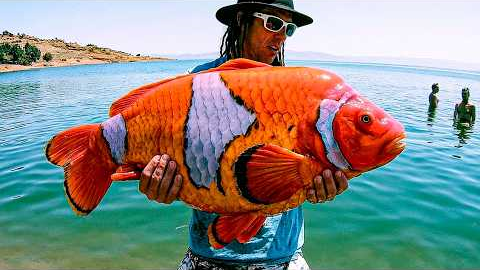 10 Pets You Should NEVER Release In The Wild!