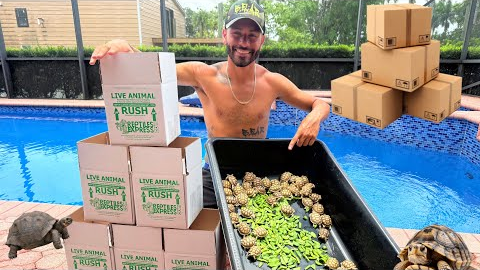 I SOLD All of My TURTLES & TORTOISES!!