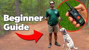 E Collar Training: A Beginner's Guide to Safe & Effective Use