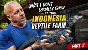 What I Don’t Usually Show at This Indonesia Reptile Farm…