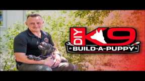 Puppy LIVE Training Sweepstakes!