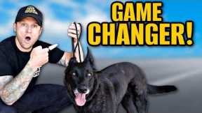 How To Use A Slip Leash To Train Your Dog!