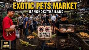 🇹🇭 4K HDR | What's Hiding Inside Bangkok's EXOTIC PET Market?