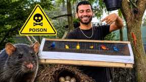 I Found PREDATORS Inside My Brand NEW AVIARY!