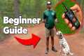 E Collar Training: A Beginner's Guide 