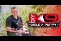 Puppy LIVE Training Sweepstakes!