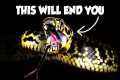 The Forgotten Venomous Snakes of