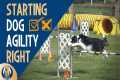 Dog Agility Training: 3 Big Mistakes